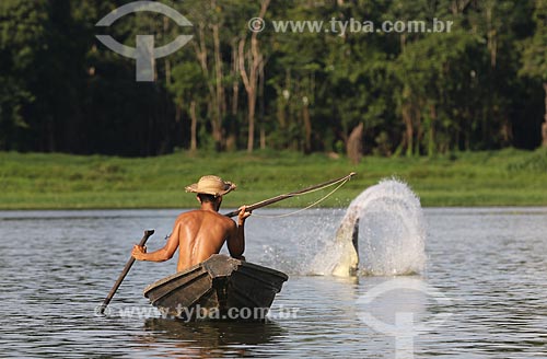  Pescador com arpão e zagaia durante a Pesca do Pirarucu (Arapaima gigas) - Reserva de Desenvolvimento Sustentável Piagaçu-Purus  - Beruri - Amazonas (AM) - Brasil