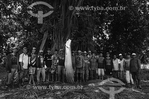  Pescadores durante a Pesca do Pirarucu (Arapaima gigas) - Reserva de Desenvolvimento Sustentável Piagaçu-Purus  - Beruri - Amazonas (AM) - Brasil