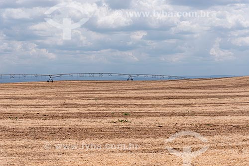  Vista de campo sendo irrigado  - Nova Redenção - Bahia (BA) - Brasil