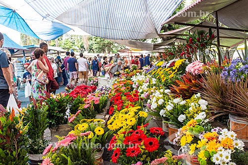  Flores à venda em feira livre  - Rio de Janeiro - Rio de Janeiro (RJ) - Brasil