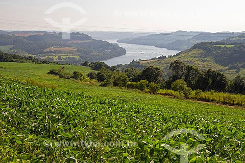  Plantação de Soja em encosta de morro com Rio Uruguai ao fundo  - Barra do Guarita - Rio Grande do Sul (RS) - Brasil