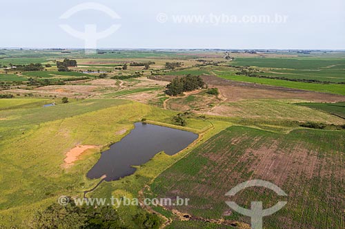  Foto feita com drone de paisagem rural e plantação de Soja no pampa gaúcho  - Rosário do Sul - Rio Grande do Sul (RS) - Brasil