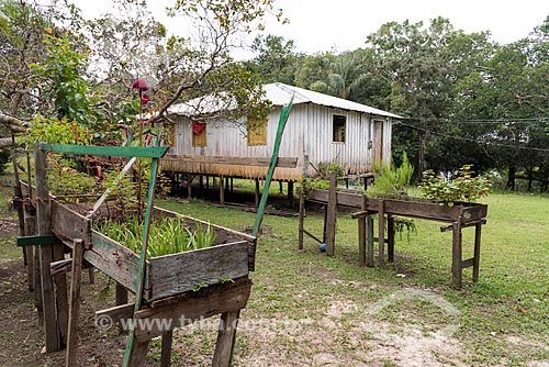  Horta elevada para proteger de inundação de rio  - Amazonas (AM)