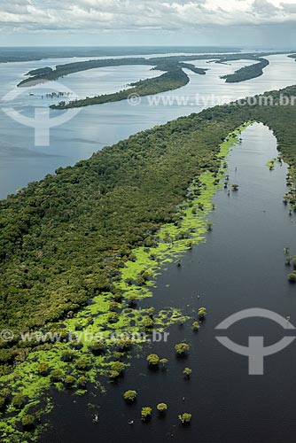  Foto aérea do Parque Nacional de Anavilhanas  - Manaus - Amazonas (AM) - Brasil
