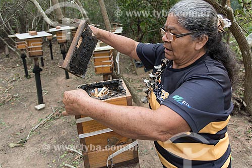 Criação de abelhas para produção de mel - Terra Indígena Pau Brasil da etnia Tupiniquim - ACRÉSCIMO DE 100% SOBRE O VALOR DE TABELA  - Aracruz - Espírito Santo (ES) - Brasil