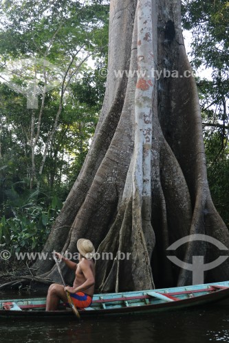 Ribeirinho observa Sumaúma (Ceiba pentandra) em Igapó - Iranduba - Amazonas (AM) - Brasil