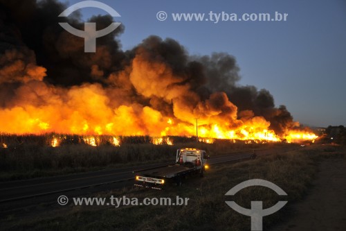 Incêndio de grandes proporções em plantação de cana-de-açúcar - Irapuã - São Paulo (SP) - Brasil