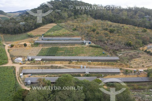 Foto feita com drone de granja de postura na zona rural - o munici­pio é o maior produtor de ovos do Brasil - Santa Maria de Jetibá - Espírito Santo (ES) - Brasil
