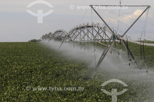 Irrigação em Plantação de Soja - Buritama - São Paulo (SP) - Brasil
