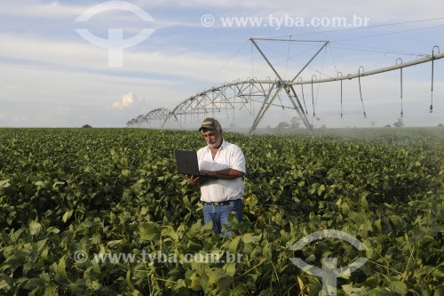 Agricultor utilizando computador no campo em meio a plantação de soja - Buritama - São Paulo (SP) - Brasil