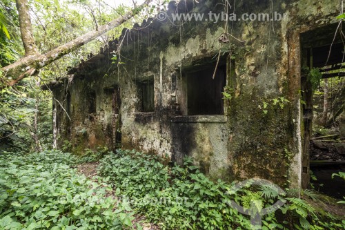 Detalhe de ruína de antiga fazenda no Parque Nacional da Tijuca  - Rio de Janeiro - Rio de Janeiro (RJ) - Brasil