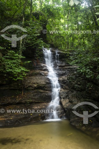 Cascata Baronesa no Parque Nacional da Tijuca  - Rio de Janeiro - Rio de Janeiro (RJ) - Brasil