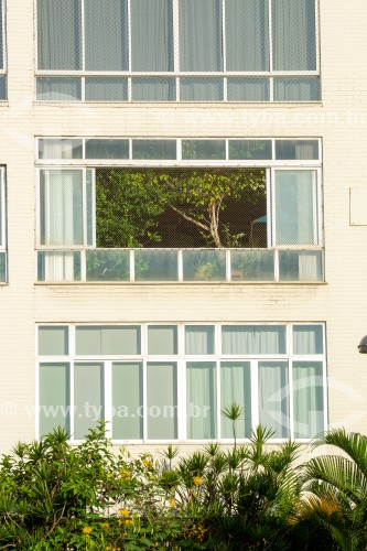Árvore na janela de apartamento na Avenida Atlântica - Rio de Janeiro - Rio de Janeiro (RJ) - Brasil