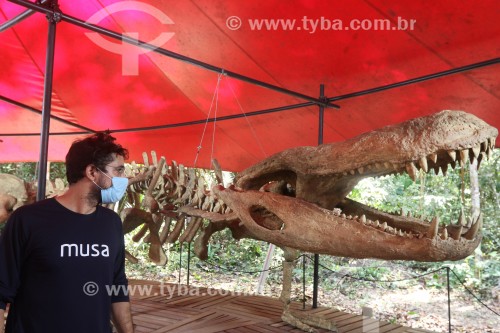 Museu da amazônia (MUSA) - Exposição permanente Passado presente - Esqueleto de um Purussauro (Jacaré de 13 metros de comprimento) - Manaus - Amazonas (AM) - Brasil