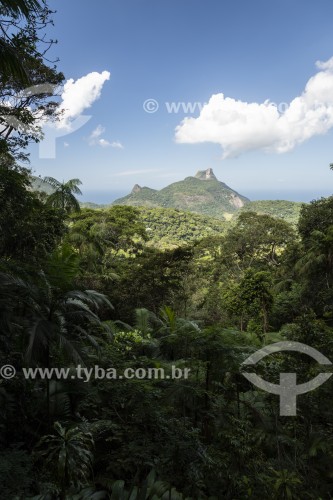 Vista da Pedra da Gávea à partir da Vista do Almirante - Parque Nacional da Tijuca  - Rio de Janeiro - Rio de Janeiro (RJ) - Brasil