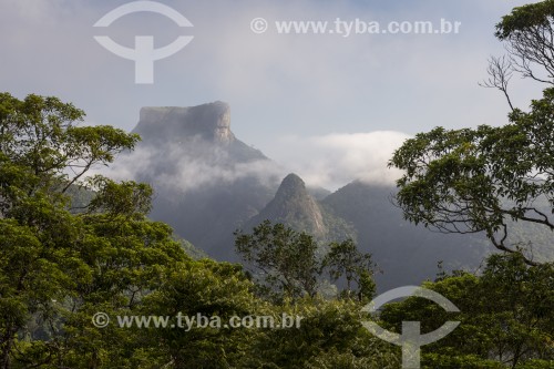 Vista a partir da Pedra da Proa com a Pedra da Gávea ao fundo  - Rio de Janeiro - Rio de Janeiro (RJ) - Brasil