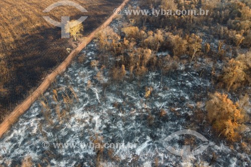 Foto feita com drone de reserva florestal atingida por incêndio - São José do Rio Preto - São Paulo (SP) - Brasil