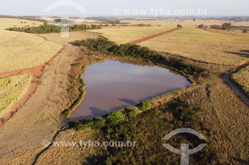 Foto feita com drone de açude em meio a plantação de cana-de-açúcar com folhas queimadas pelo longo período de estiagem - São José do Rio Preto - São Paulo (SP) - Brasil