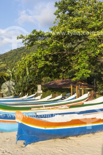 Barcos de pesca coloridos na Praia de Santa Teresa - Ilhabela - São Paulo (SP) - Brasil