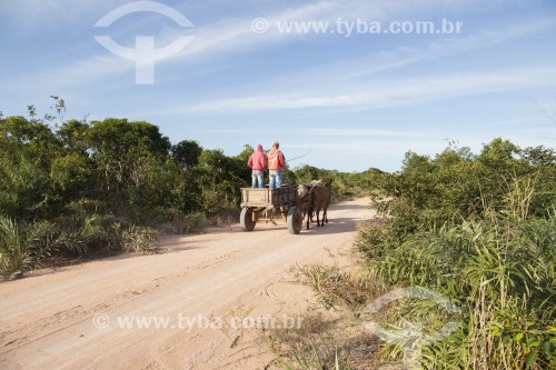 Carroça puxada por burros em estrada de terra - Marataízes - Espírito Santo (ES) - Brasil