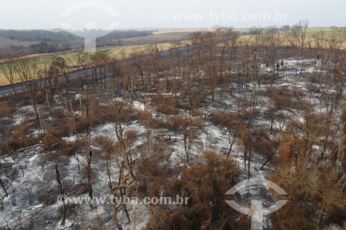 Foto feita com drone de propriedade rural com mata de reserva legal atingida por incêndio - Olímpia - São Paulo (SP) - Brasil