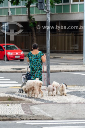Passeadora de cachorros com poodles - Avenida Atlântica - Rio de Janeiro - Rio de Janeiro (RJ) - Brasil