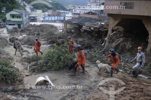 Bombeiros fazendo busca por corpos com o auxílio de cães após deslizamentos e enchente causados por fortes chuvas - Petrópolis - Rio de Janeiro (RJ) - Brasil