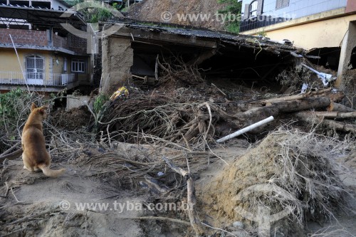 Destruição causada por temporal na Chácara Flora - Petrópolis - Rio de Janeiro (RJ) - Brasil