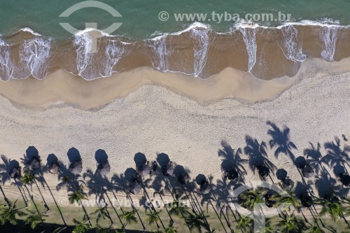 Foto feita com drone de coqueiros em praia - Mangaratiba - Rio de Janeiro (RJ) - Brasil