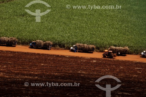 Vista aérea de caminhões transportando cana-de-açúcar - Fazenda Bartira - Canápolis - Minas Gerais (MG) - Brasil