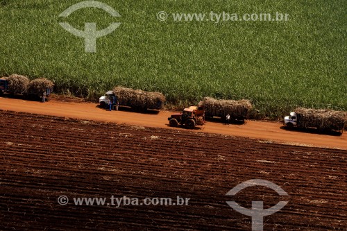 Vista aérea de caminhões transportando cana-de-açúcar - Fazenda Bartira - Canápolis - Minas Gerais (MG) - Brasil