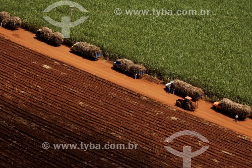 Vista aérea de caminhões transportando cana-de-açúcar - Fazenda Bartira - Canápolis - Minas Gerais (MG) - Brasil