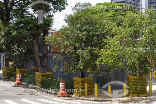 Telas com identificação da espécie colocadas por construtora nos troncos das árvores para evitar dano pelo movimento de caminhões - São Paulo - São Paulo (SP) - Brasil