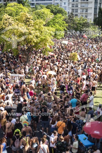 Foliões no bloco de carnaval Boi Tolo no Aterro do Flamengo - Rio de Janeiro - Rio de Janeiro (RJ) - Brasil