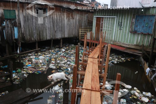 Palafitas sobre rio poluído com muito lixo - Manaus - Amazonas (AM) - Brasil