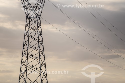 Torres de transmissão de energia elétrica no Rio Tramandaí - Tramandaí - Rio Grande do Sul (RS) - Brasil