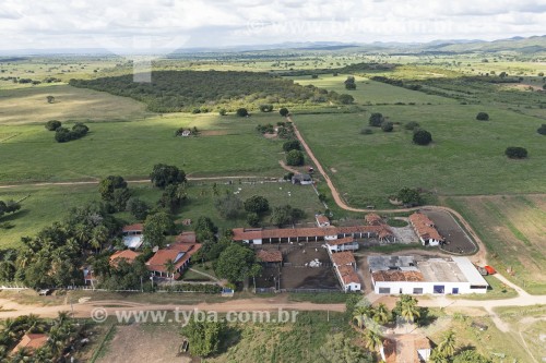 Foto feita com drone de fazenda de criação de gado com pasto verde formado no período das chuvas - Brejo Santo - Ceará (CE) - Brasil