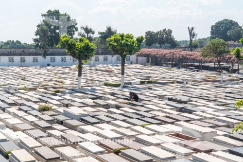 Túmulos do Cemitério Comunal Israelita do Rio de Janeiro, também chamado de Cemitério Israelita do Caju - Rio de Janeiro - Rio de Janeiro (RJ) - Brasil