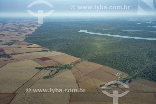 Vista aérea de área agrícola com plantações e o Rio Iguaçu com área de floresta preservada - Foz do Iguaçu - Paraná (PR) - Brasil