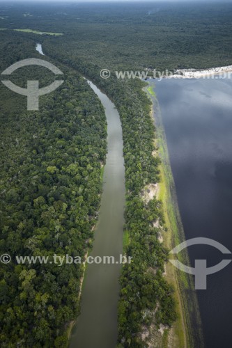 Foto feita com drone da floresta amazônica - Reserva de Desenvolvimento Sustentável do Tupé - Manaus - Amazonas (AM) - Brasil
