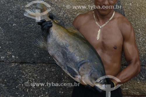 Trabalhador no Porto da Manaus Moderna segurando peixe Tambaqui - Manaus - Amazonas (AM) - Brasil