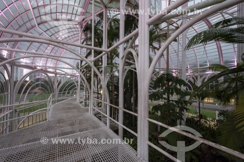 Interior da estufa do Jardim Botânico de Curitiba  - Curitiba - Paraná (PR) - Brasil