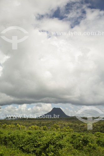 Monte Pascoal - Parque Nacional e Histórico do Monte Pascoal - Prado - Bahia (BA) - Brasil