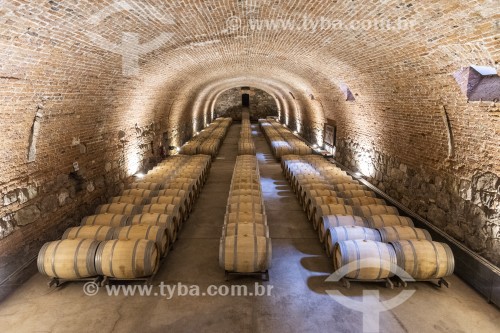 Barris de vinho em vinícola - Bodegas Caro - Mendoza - Província de Mendoza - Argentina
