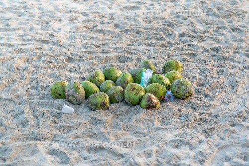 Cocos verdes deixados na areia da Praia do Diabo - Rio de Janeiro - Rio de Janeiro (RJ) - Brasil