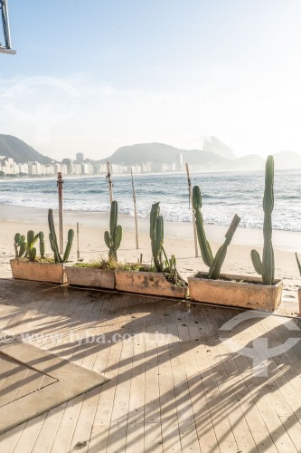 Vasos com cactos em quiosque da orla da Praia de Copacaba - Rio de Janeiro - Rio de Janeiro (RJ) - Brasil
