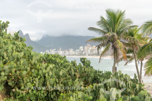 Cactos na vegetação da Pedra do Arpoador - Praia de Ipanema ao fundo - Rio de Janeiro - Rio de Janeiro (RJ) - Brasil