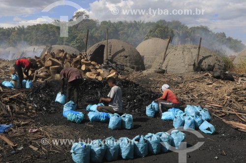 Trabalhadores e forno usado na produção de carvão vegetal  - Boa Vista - Roraima (RR) - Brasil