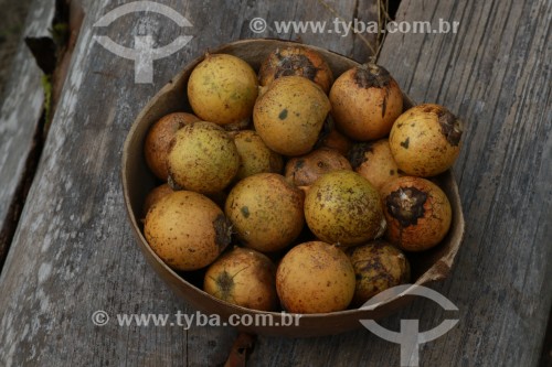 Frutos de Tucumã (Astrocaryum aculeatum) - também conhecida como Acaiúra ou Tucum
 - Manaus - Amazonas (AM) - Brasil