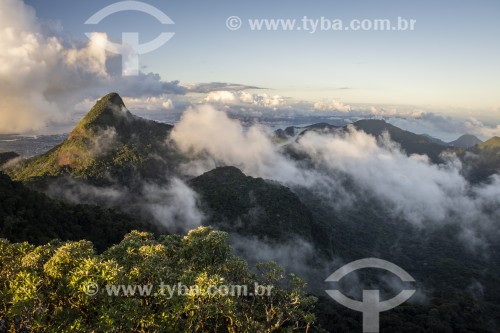 Vista do Pico da Tijuca a partir do Bico do Papagaio - Parque Nacional da Tijuca - Rio de Janeiro - Rio de Janeiro (RJ) - Brasil